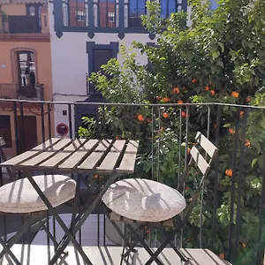 Loft House Triana Appartement